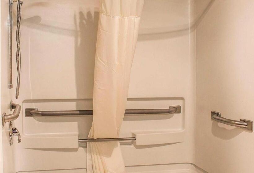 ホテル Quality Inn & Suites