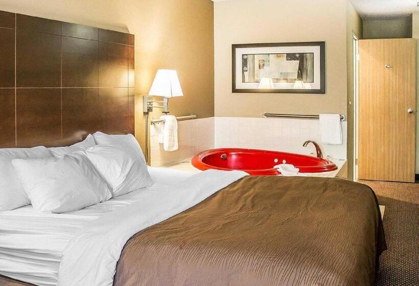 ホテル Quality Inn & Suites