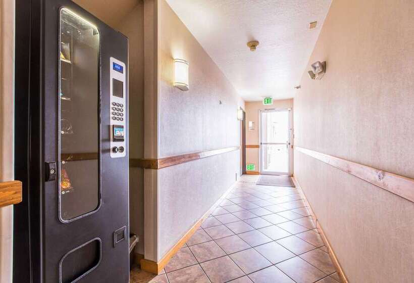 酒店 Quality Inn & Suites University