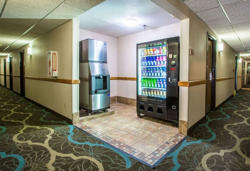 ホテル Quality Inn & Suites University