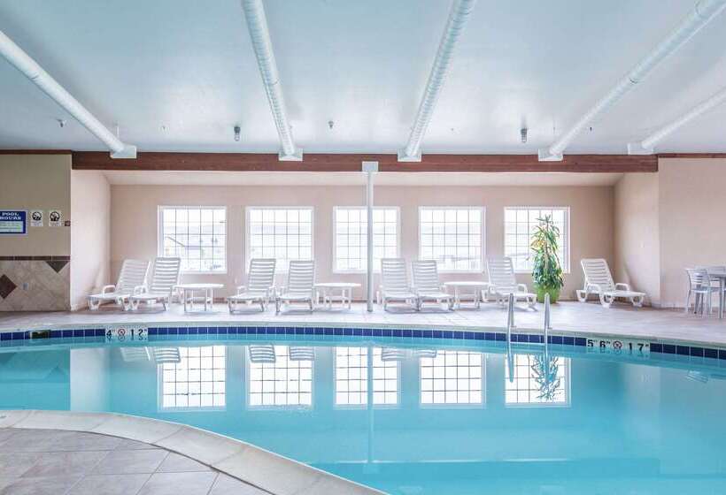 酒店 Quality Inn & Suites University