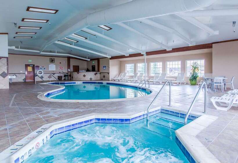 酒店 Quality Inn & Suites University