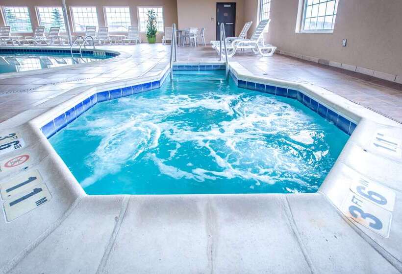 酒店 Quality Inn & Suites University