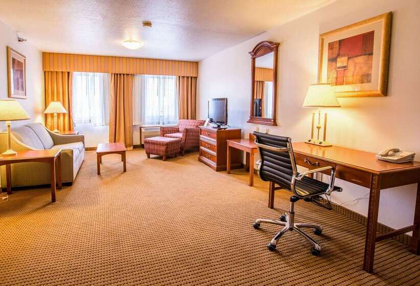 ホテル Quality Inn & Suites University