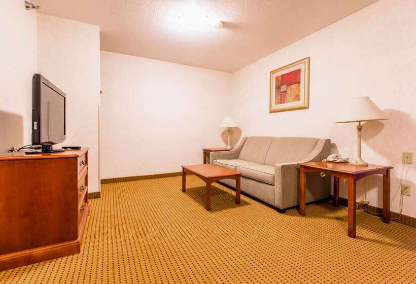 فندق Quality Inn & Suites University