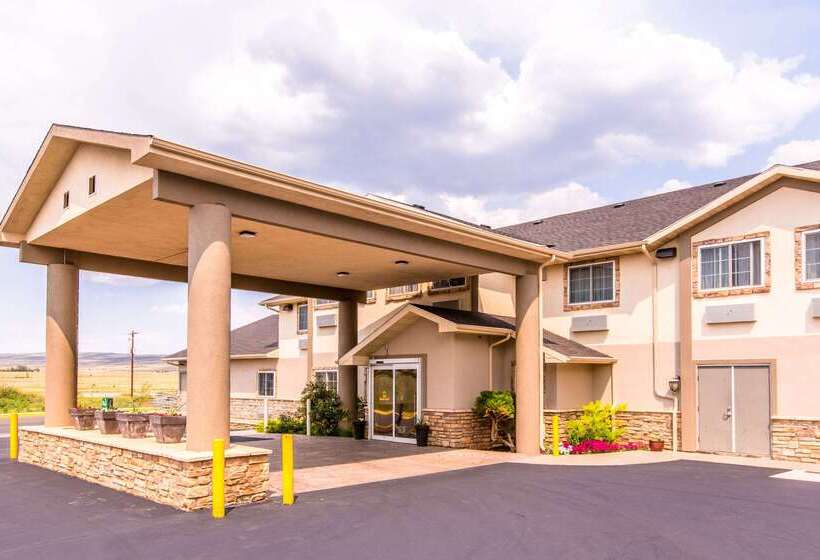 ホテル Quality Inn & Suites University