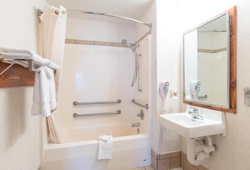 ホテル Quality Inn & Suites University