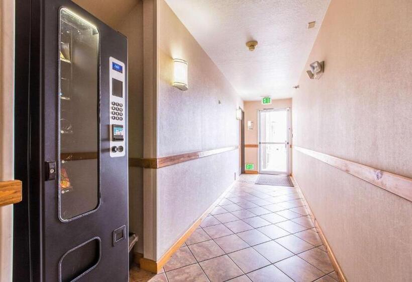 酒店 Quality Inn & Suites University