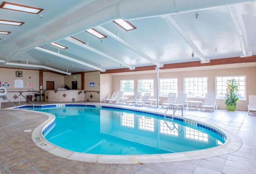 酒店 Quality Inn & Suites University