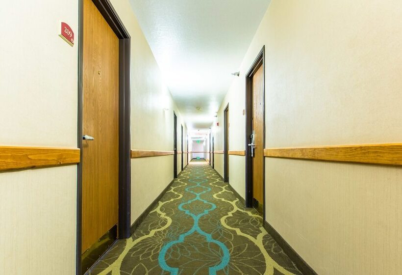 酒店 Quality Inn & Suites University