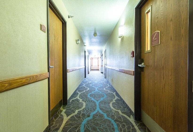 ホテル Quality Inn & Suites University