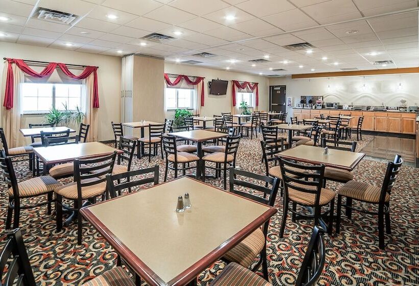 酒店 Quality Inn & Suites University