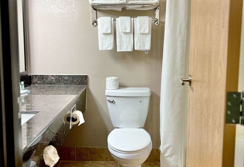 Отель Quality Inn & Suites Wisconsin Dells Downtown   Waterparks Area