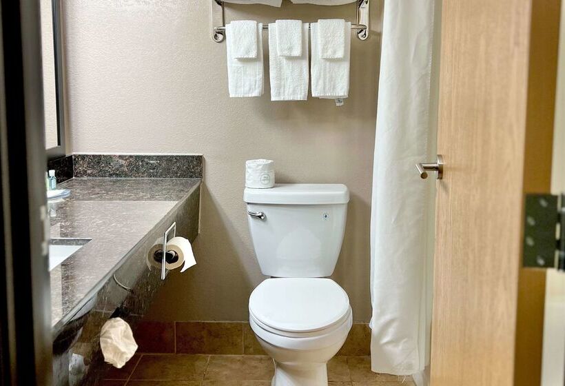 Отель Quality Inn & Suites Wisconsin Dells Downtown   Waterparks Area