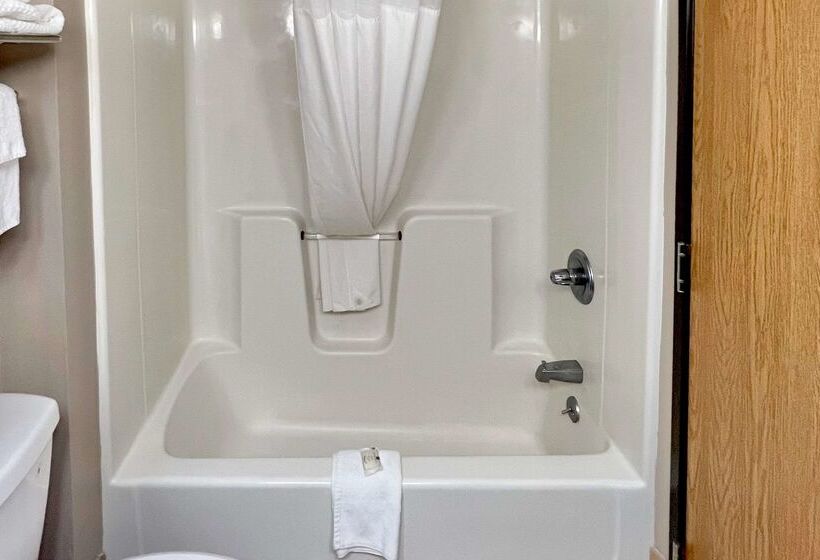 Отель Quality Inn & Suites Wisconsin Dells Downtown   Waterparks Area