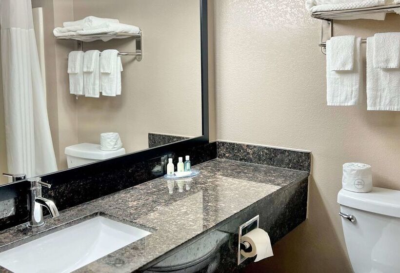 Отель Quality Inn & Suites Wisconsin Dells Downtown   Waterparks Area