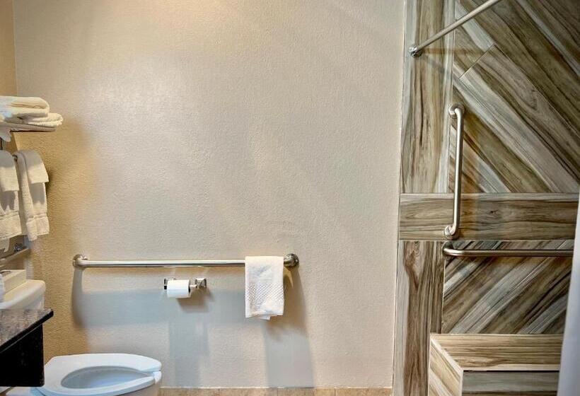 Отель Quality Inn & Suites Wisconsin Dells Downtown   Waterparks Area