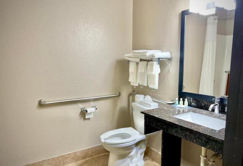 Отель Quality Inn & Suites Wisconsin Dells Downtown   Waterparks Area