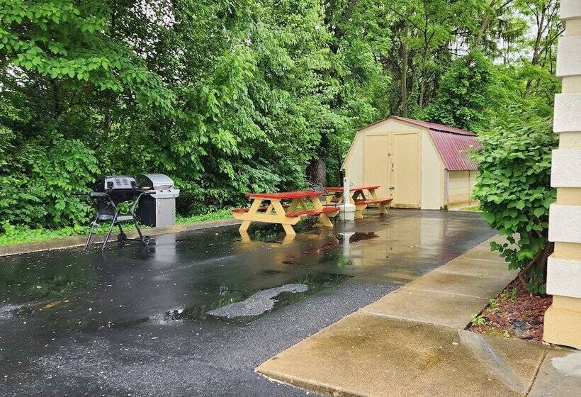 فندق Quality Inn