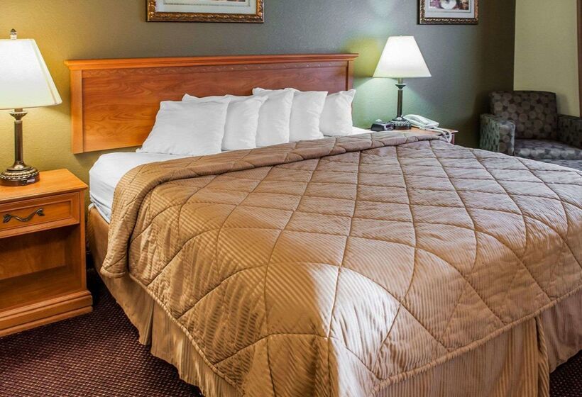 Отель Rodeway Inn