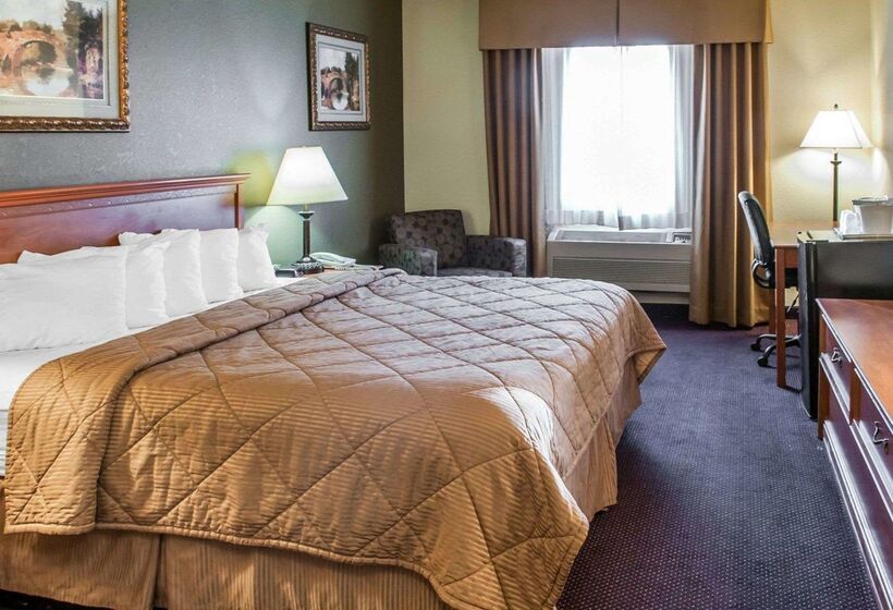 Отель Rodeway Inn