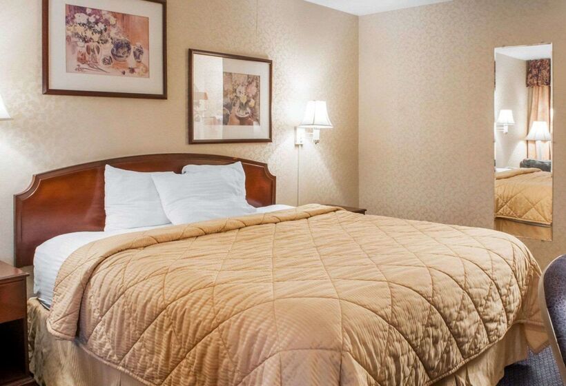 فندق Rodeway Inn