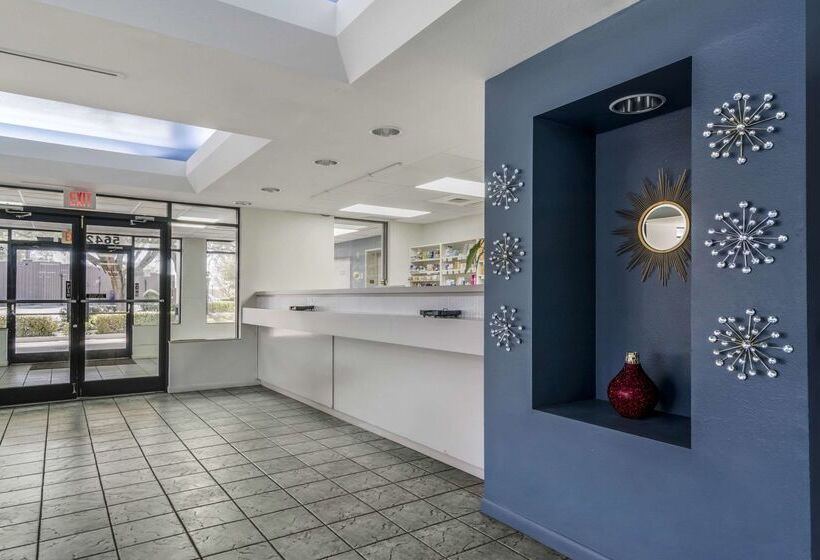 ホテル Rodeway Inn