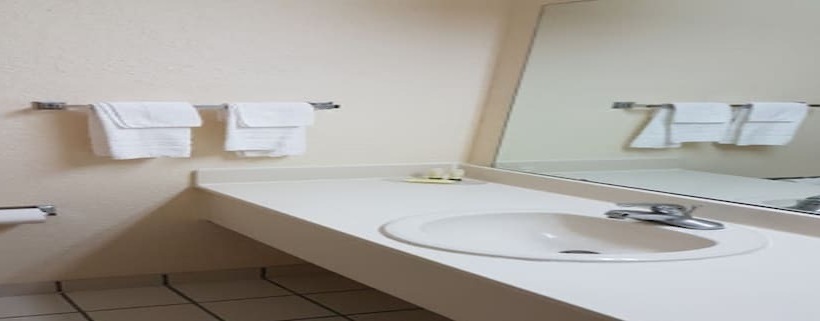 ホテル Rodeway Inn