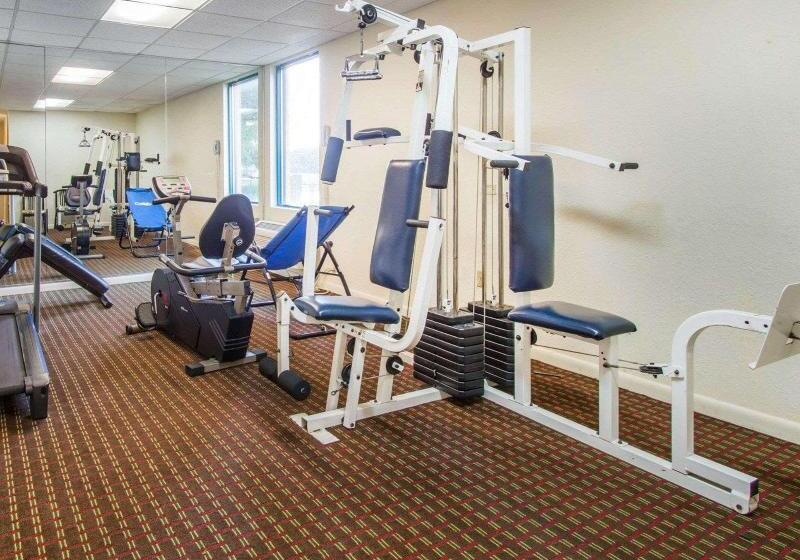 ホテル Rodeway Inn