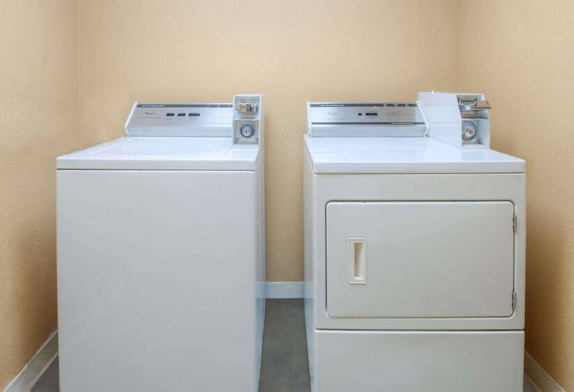 호텔 Super 8 By Wyndham Farmers Branch/north Dallas