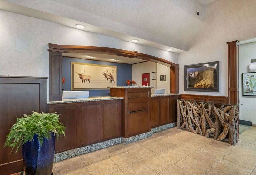 Surestay Plus Hotel By Best Western Buffalo