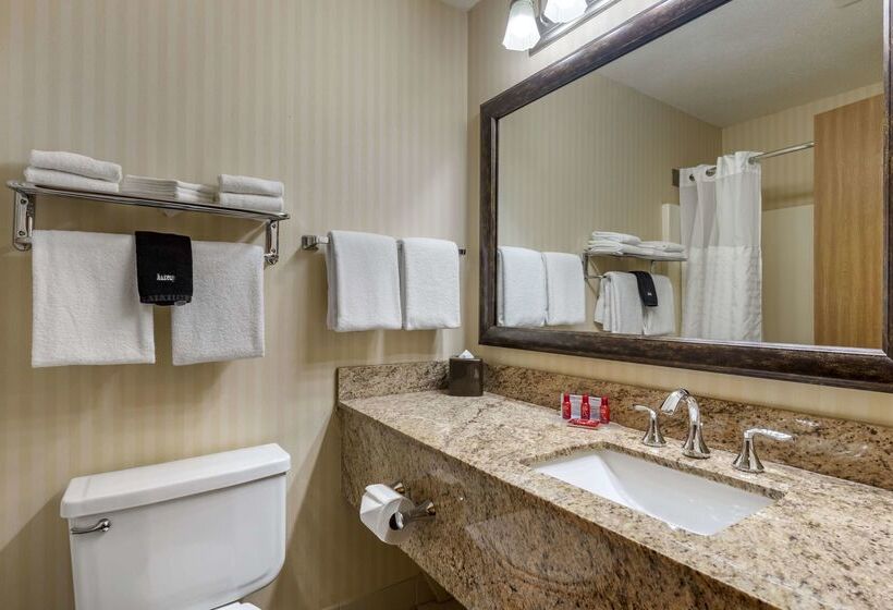 Surestay Plus Hotel By Best Western Buffalo