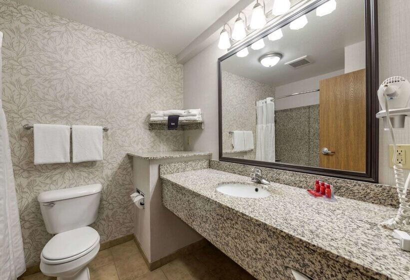 Surestay Plus Hotel By Best Western Buffalo