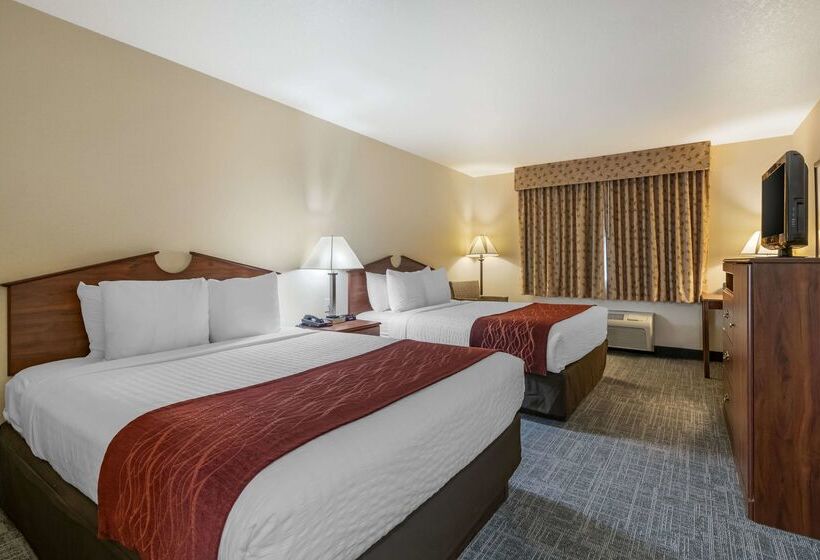 Surestay Plus Hotel By Best Western Buffalo