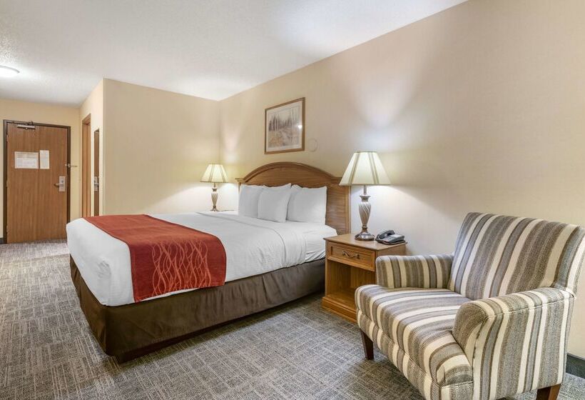 Surestay Plus Hotel By Best Western Buffalo