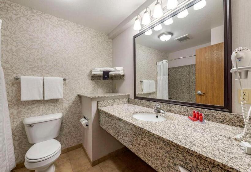 Surestay Plus Hotel By Best Western Buffalo