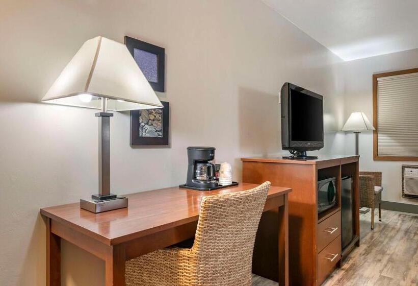 Surestay Plus Hotel By Best Western Buffalo