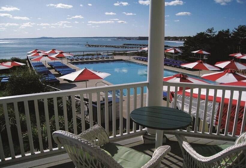 Отель The Colony