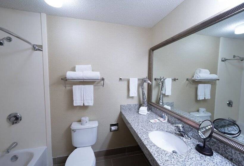 ホテル Americinn By Wyndham Omaha Near Zoo