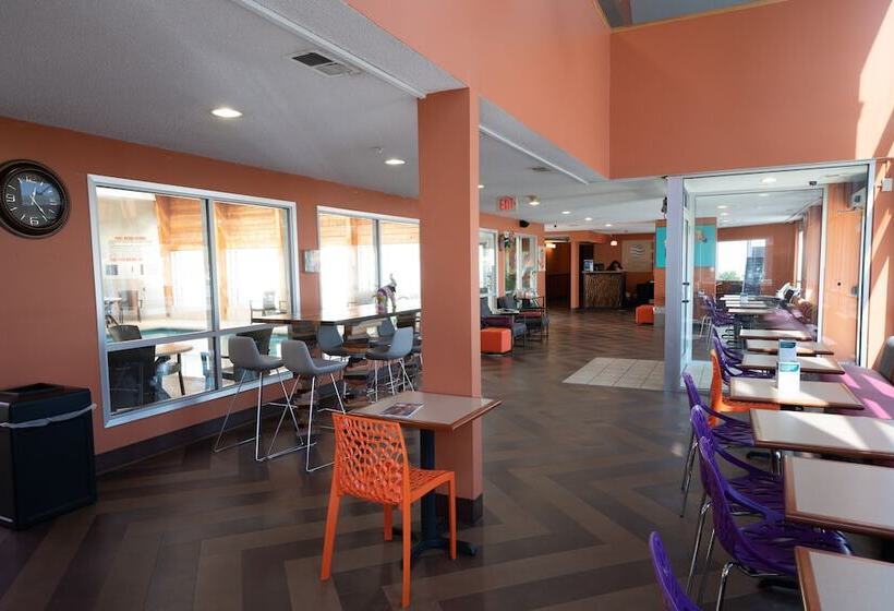 ホテル Americinn By Wyndham Omaha Near Zoo