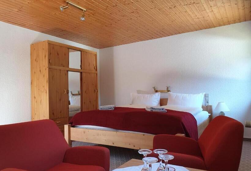 فندق صغير Sternhaus Harz