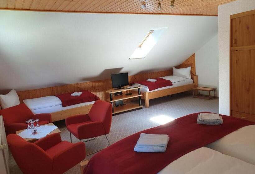 فندق صغير Sternhaus Harz