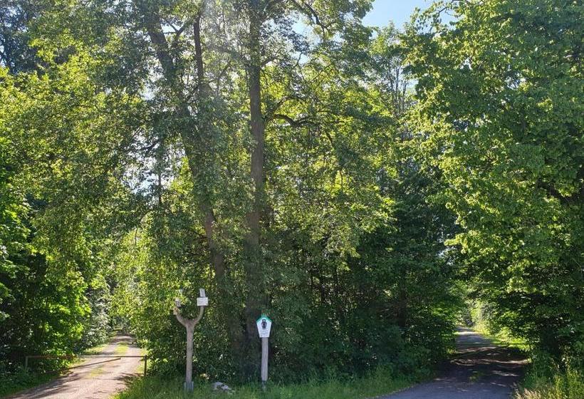 فندق صغير Sternhaus Harz