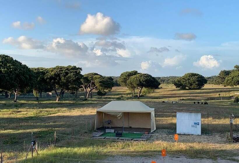 旅馆 Sublime Sun & Van By Meco Stays