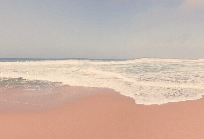 旅馆 Sublime Sun & Van By Meco Stays