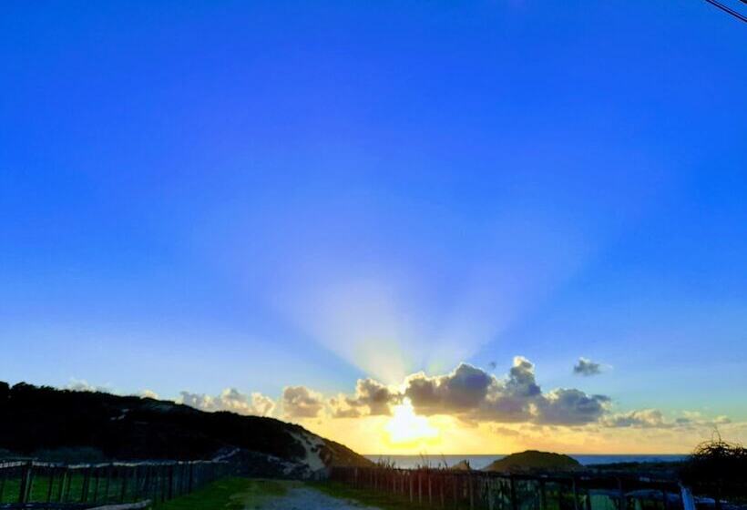 旅馆 Sublime Sun & Van By Meco Stays