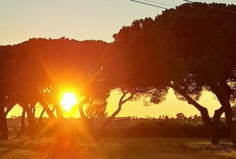 旅馆 Sublime Sun & Van By Meco Stays