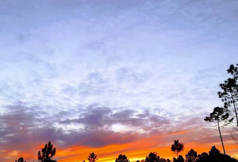 旅馆 Sublime Sun & Van By Meco Stays