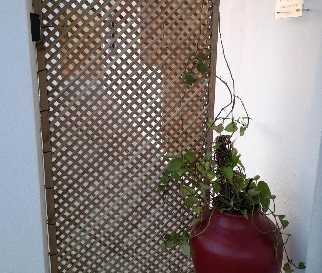 旅馆 Sublime Sun & Van By Meco Stays