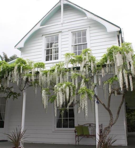 مبيت وإفطار Paheke Boutique Lodge